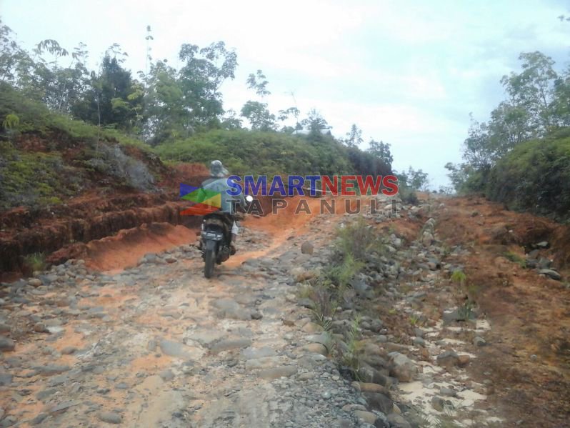 Jalan Rusak dari Togabasir ke Pinangsori Butuh Perbaikan 1 jalan rusakkkk copy