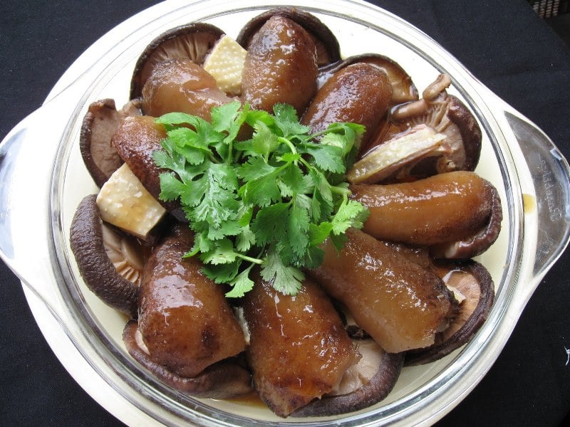 teripang teripang