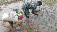 bercocok tanam bercocok tanam