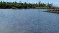 danau begu danau begu