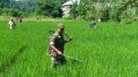 koptu budi harahap koptu budi harahap