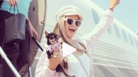 paris hilton paris hilton