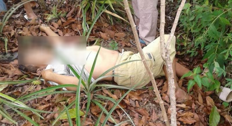 meninggal dibawah pohon alpokat meninggal dibawah pohon alpokat