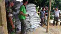 Babinsa Sirombu Dampingi PPL Lahomi Bagi Pupuk Organik ke Petani 3 sirombu