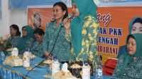 Ketua TP PKK Tapteng Kunker di Pasaribu Tobing dan Sosorgadong 5 sambutan