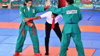 Stefani Sinaga, Kontingen Yongmoodoo Kodam I/BB Raih Emas 4 dasd
