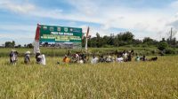 Tim Sergap dari Mabes TNI AD di Dairi 11 sergap