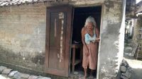 Hidup Sebatangkara, Mbah Gimah Tinggal Dekat Kandang Sapi 15 20190211 134913