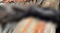Jasad Gosong Ditemukan di Atap Rumah 18 IMG 20190315 WA0063