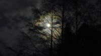 bulan bulan