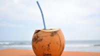 kelapa kelapa