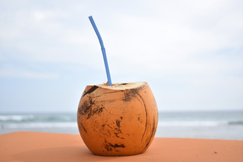 kelapa kelapa