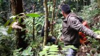pencarian lagi pencarian lagi