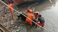 GEGER, Ditemukan Mayat Nyangkut di Tali Sampan 21 WhatsApp Image 2019 09 13 at 17.18.56