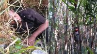 VIRAL, Motor Nyangkut di Pohon Bambu Setelah Dapat Orderan Mistis? 6 nyangkut