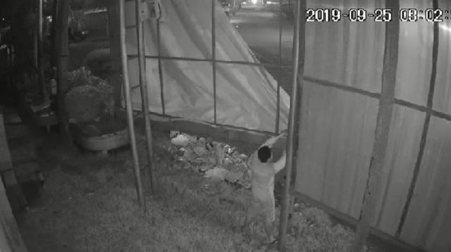Pencuri Baliho Terekam CCTV snapshot 001 2