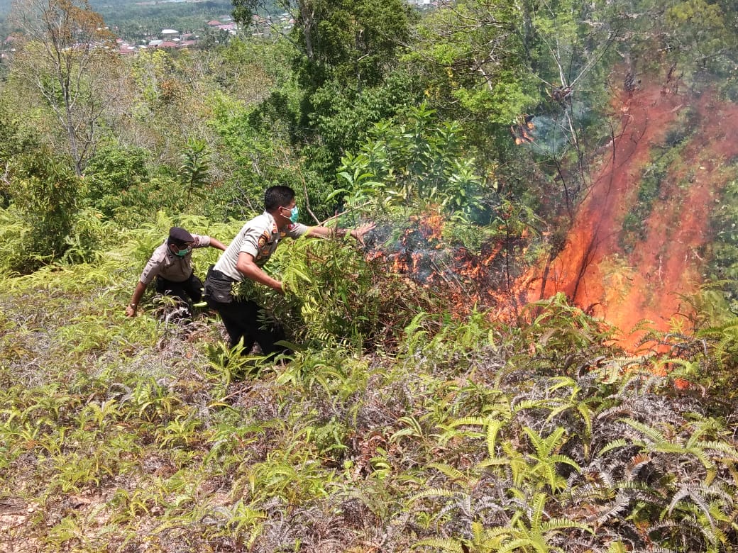 Polisi Amankan Pelaku Pembakaran Lahan di Tapteng 1 IMG 20200227 WA0049