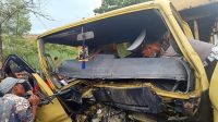 Truk Laga Kambing di Taput, Dua Tewas Terjepit 17 agafd