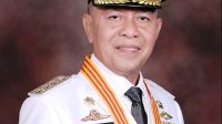 syahrul syahrul