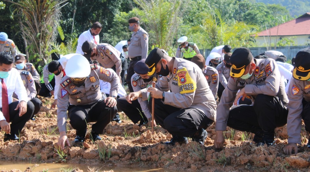 Tanam Jagung WhatsApp Image 2020 07 20 at 17.24.48