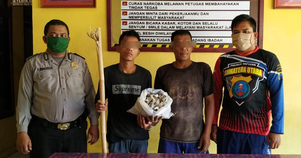 Tapteng WhatsApp Image 2020 07 20 at 17.29.13