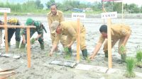 Taput WhatsApp Image 2020 08 24 at 21.58.37