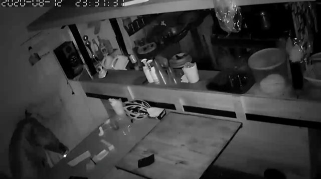 cctv cctv