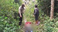 Taput WhatsApp Image 2020 10 08 at 21.21.43