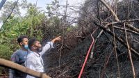 Perbukitan Simaremare Sibolga Terbakar 14 WhatsApp Image 2021 02 08 at 22.27.14
