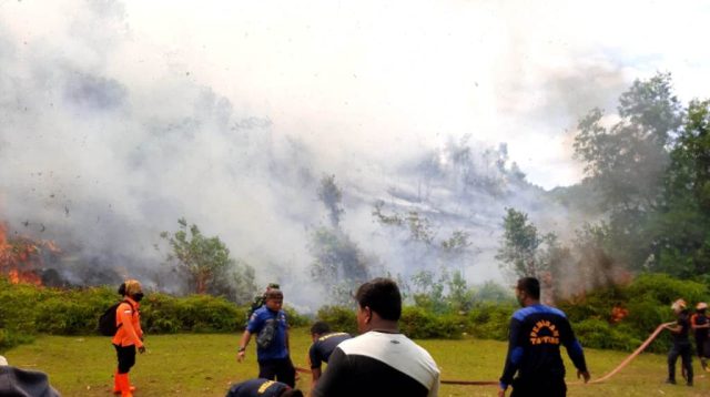 VIDEO Petugas Memadamkan Kebakaran Lahan di Sihaporas Tapteng 23 WhatsApp Image 2021 02 15 at 15.37.22