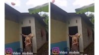 Viral Pengantin Perempuan Lempar Celana Dalam ke Atas Rumah, Alasannya Bikin Geleng-geleng 30 IMG 20210303 113054