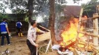 dibakar dibakar