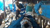 Warga Tapteng Meninggal Dunia di Atas Jaring Ikan 15 Jenazah Korban Ditemukan di Atas Jaring.