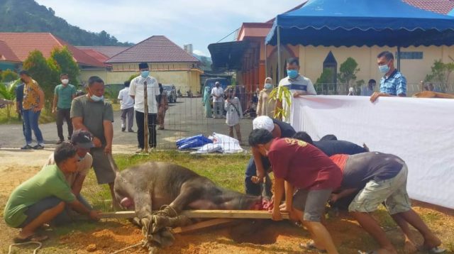 Idul Adha tahun ini, Polres Tapteng menyembelih 8 ekor hewan kurban untuk dibagikan kepada masyarakat, Selasa (20/7/2021).