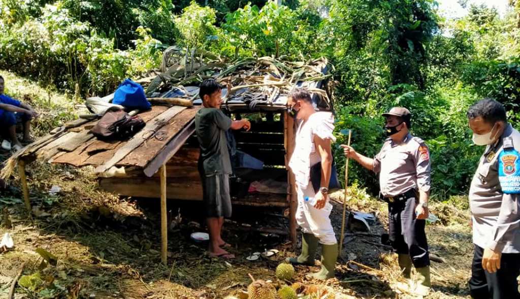 pencariann pencariannn