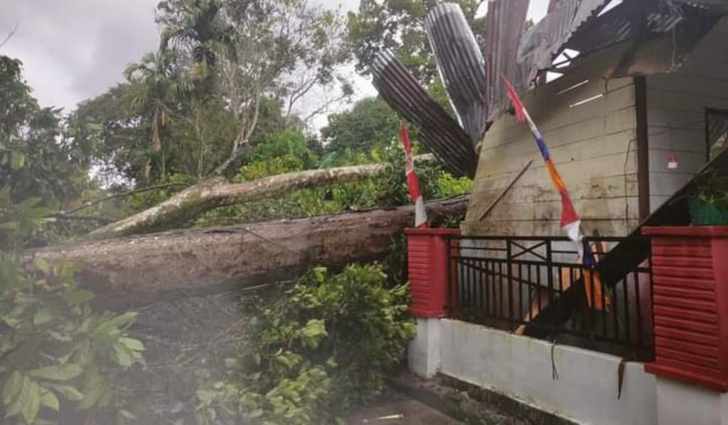 Dua unit ruang bangunan Sekolah Dasar (SD) Negeri 174475 Tordolok Nauli di Kecamatan Pahae Jae, Kabupaten Tapanuli Utara, Sumatera Utara, rusak parah ditimpa pohon durian.