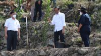 Bupati Dosmar Sambut Presiden Jokowi di Humbahas 10 IMG 20220203 WA0132