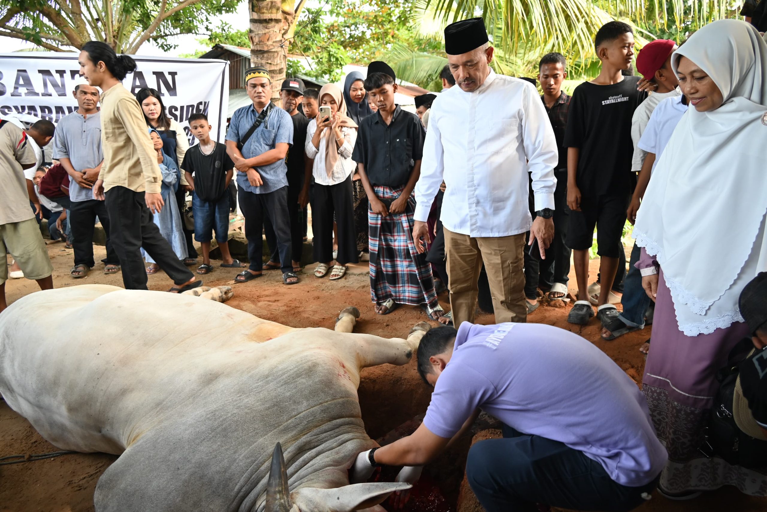 Wakil Bupati Tapteng Serahkan Hewan Kurban Bantuan Presiden Prabowo 1 IMG 20250606 WA0024 scaled