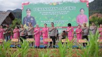 Dukung Ketahanan Pangan Nasional, Kapolda Sumut Tanam Jagung di Tapteng 14 WhatsApp Image 2025 09 16 at 08.58.49
