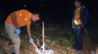 Penemuan Kerangka Manusia di Tapteng, Diduga Korban Bencana Alam 1 IMG 20260727 161422