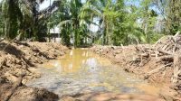 BNPB Kerahkan 4 Alat Berat Normalisasi Sungai Silaga-laga Sipange Tukka 3 WhatsApp Image 2026 07 24 at 06.20.42