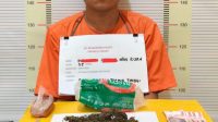 Polres Tapteng Ringkus Pengedar Sabu dan Ganja di Sukabangun 3 IMG 20261016 190316